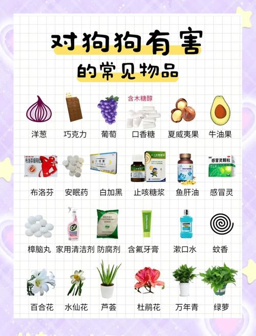 家庭常见对猫狗有毒的家居物品分类清单