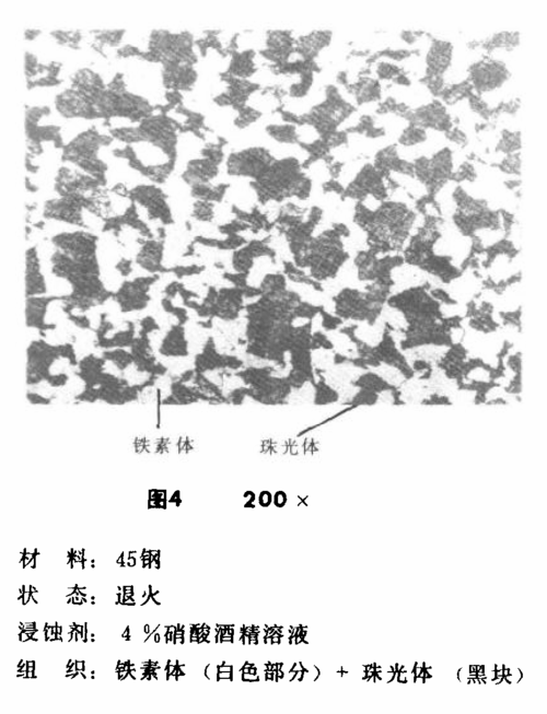 45号钢不同晶粒度正火金相对比图