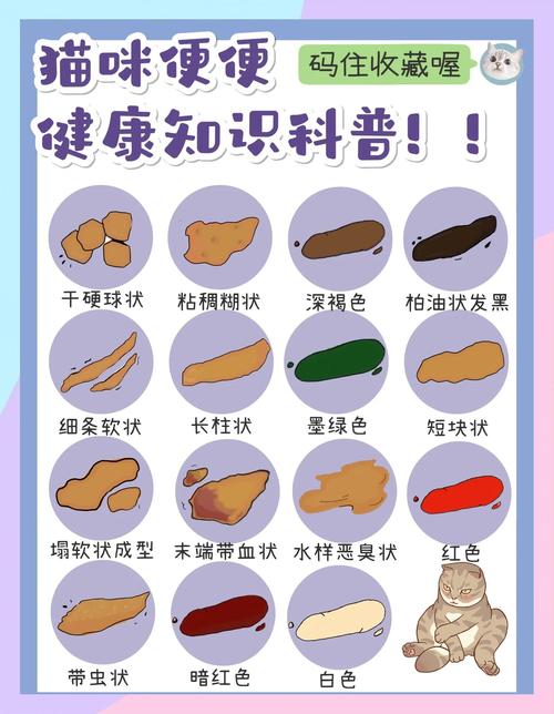 宠物健康正常粪便状态参考对比图