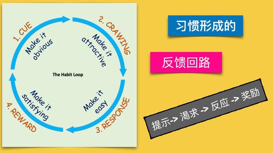 习惯回路模型图