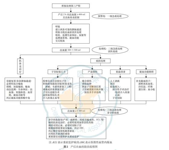三、流程与实操:血泪换来的步骤