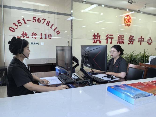 法院执行局财产查询窗口律师工作场景