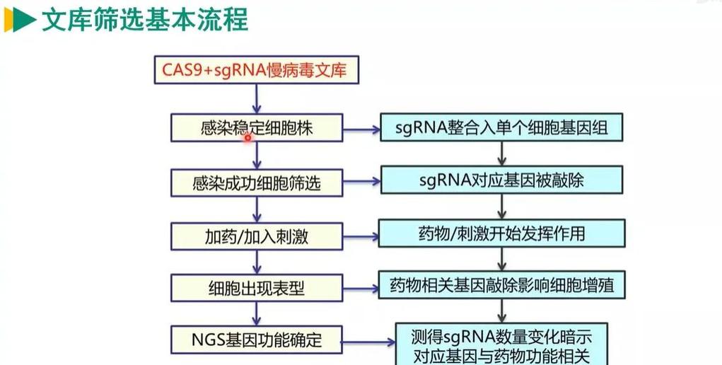 人工智能材料基因组筛流程图