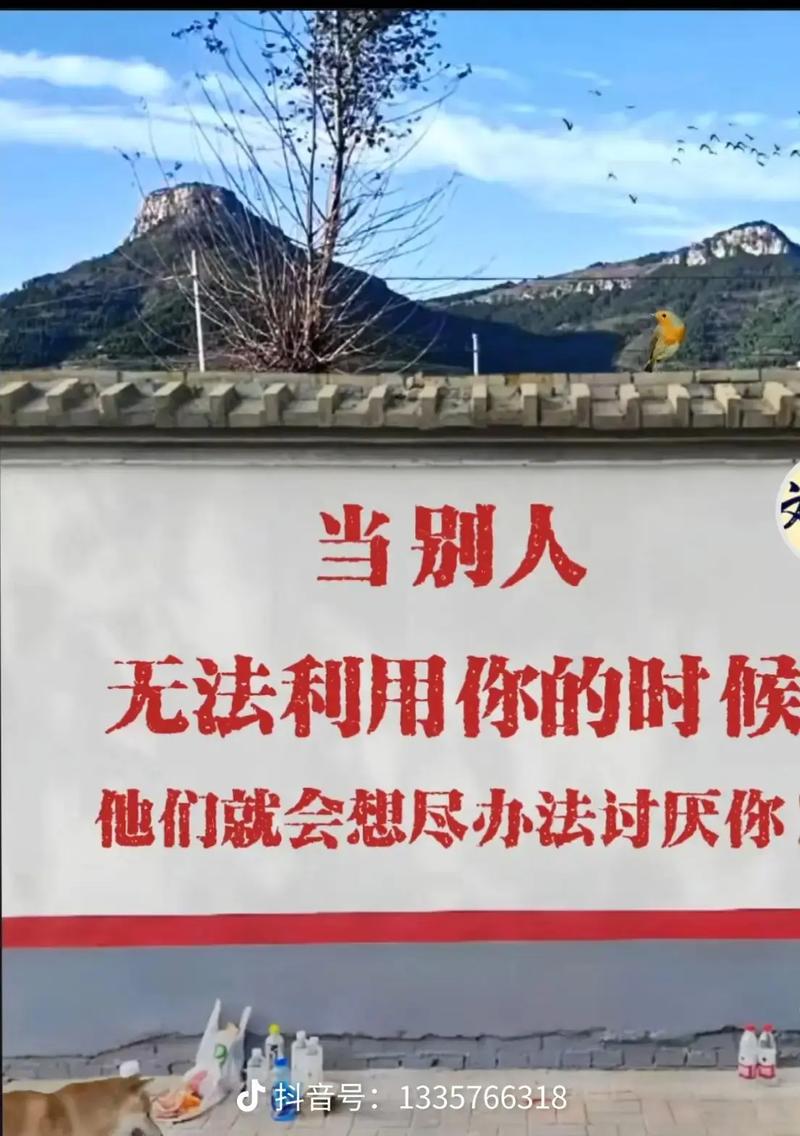 哪些人在说它没价值?