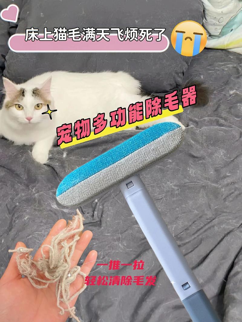 春秋换季宠物掉毛铺满沙发实景照片