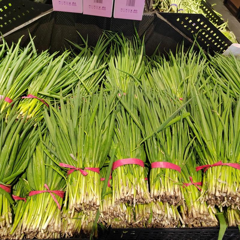 葱的秘密:从厨房配角到灵魂点缀,我花了十年才懂它-因为所以