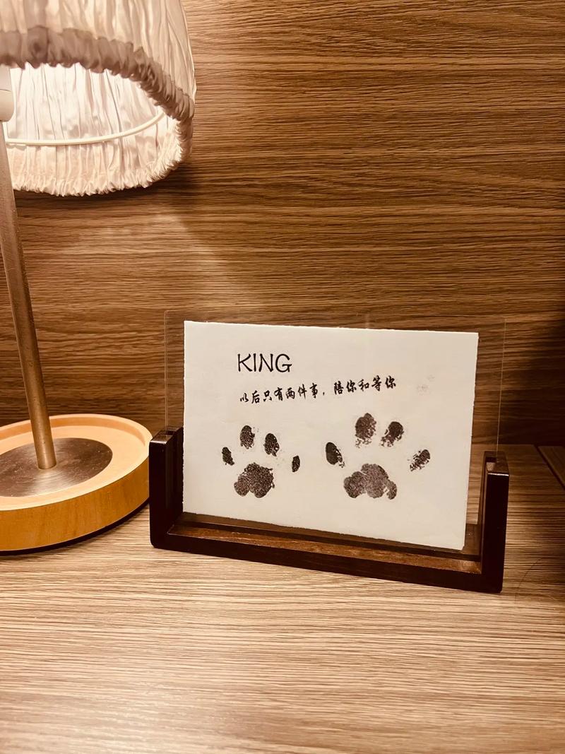 🐾 情感上，宠物给的“挫折教育”千金不换