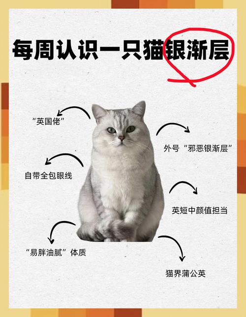 别光看参数,那些猫腻你得懂