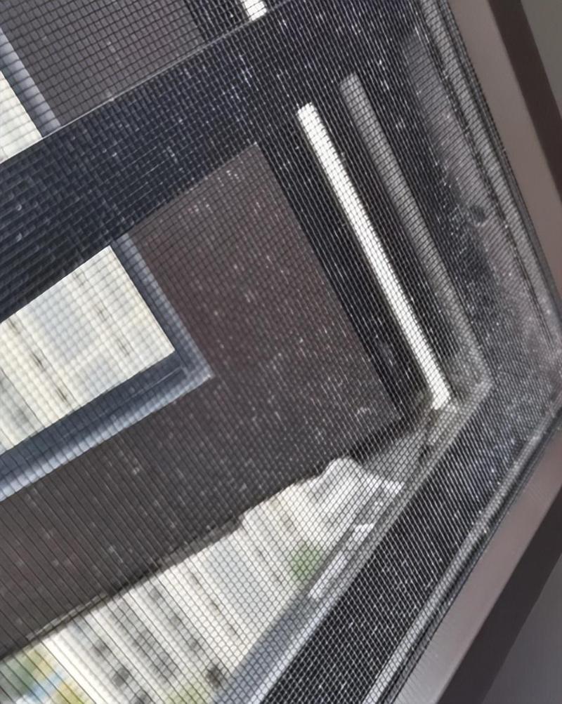 沾满灰尘积絮的家用纱窗