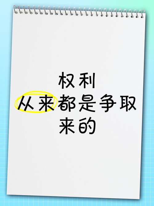 真要较真,这些权利你拿着就能用