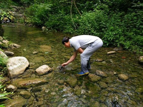 南漳花庄水库岸边清透山涧水带游鱼