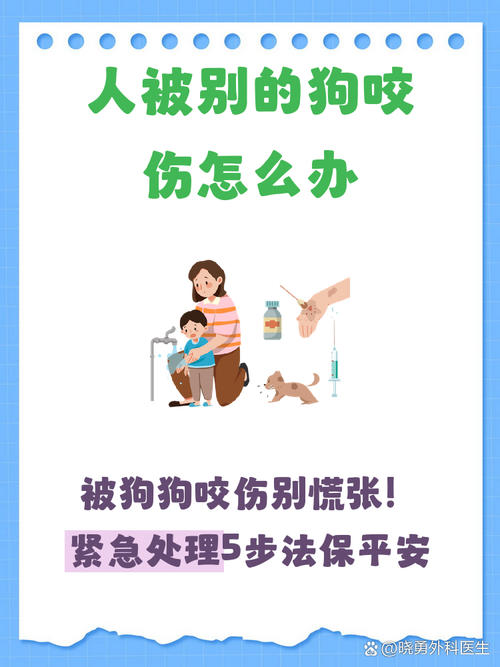 真的被咬了,第一步千万别做错