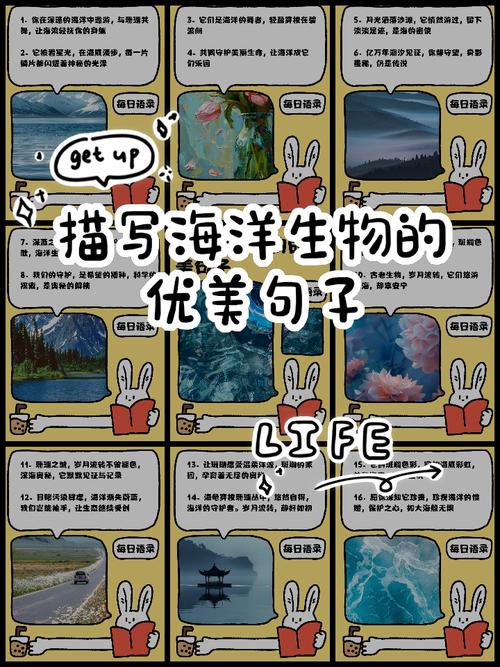 四、海洋生物那点事儿，离你不远