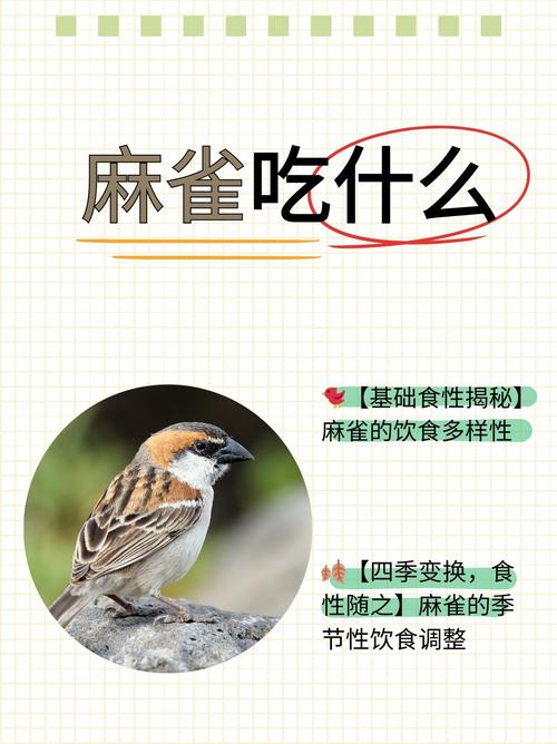 三、嘴巴淡出鸟来——吃点什么