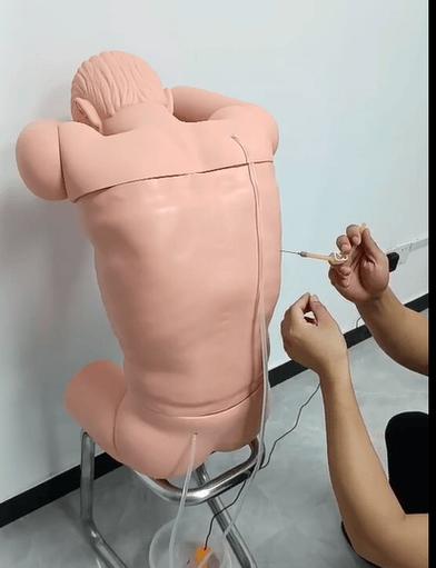 医学生练习胸腔穿刺技能模型