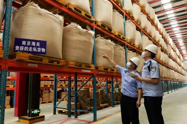 海关被查获的走私可移动文物清点现场图