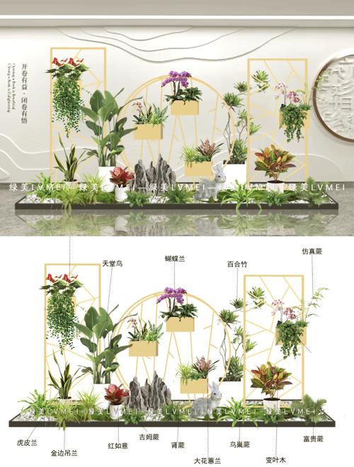 装修前期：大型绿植的规划预留问题