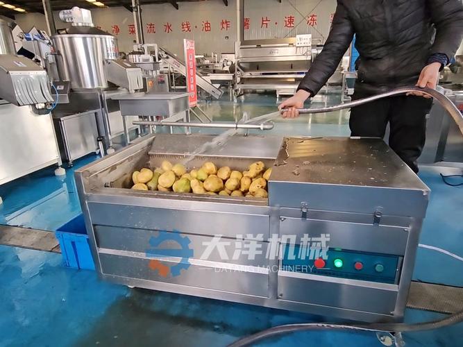 食品厂脱皮机现场试机土豆原料