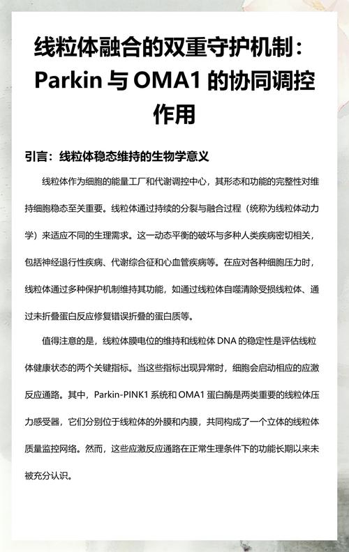 线体间的协同缓冲,不是越大越好