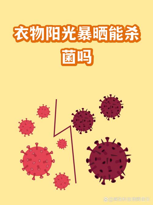 什么样的衣物适合阳光除菌？
