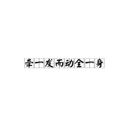 牵一发动全身的活