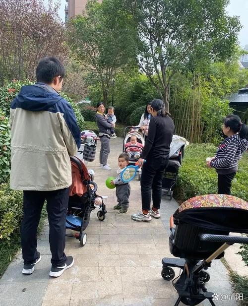 上周在楼下遛弯撞见的小事
