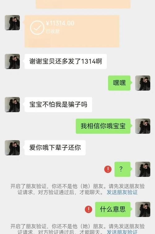 网上副业割韭菜骗局聊天记录截图