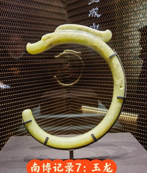 辽宁古生物博物馆：化石爱好者的朝圣地，藏着“中国第一龙”