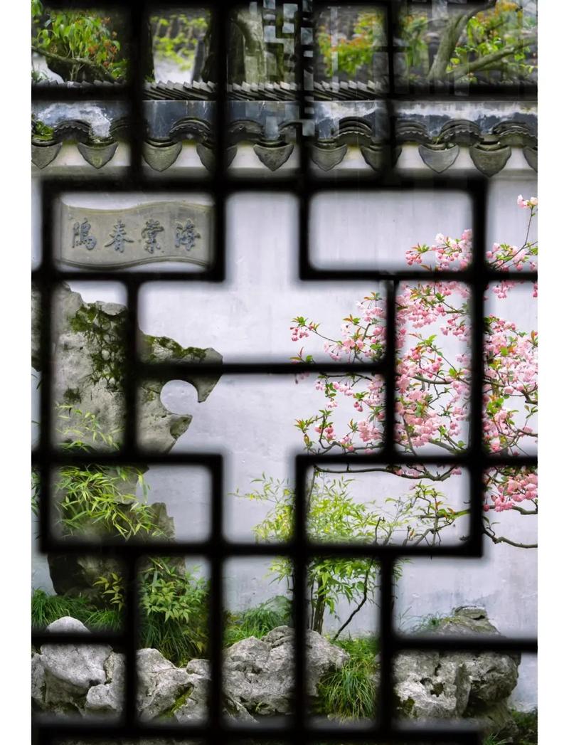 竹影:从郑板桥的墨戏到拙政园的漏窗,那些被光捉住的虚灵-因为所以