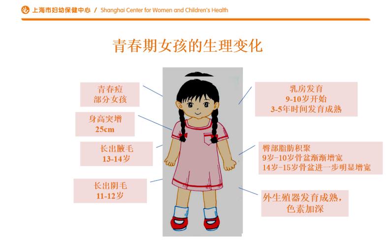 8岁女孩青春期发育科普手绘图