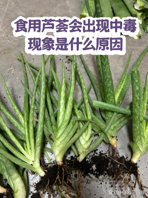 家庭环境宠物常见误食中毒物品分布图