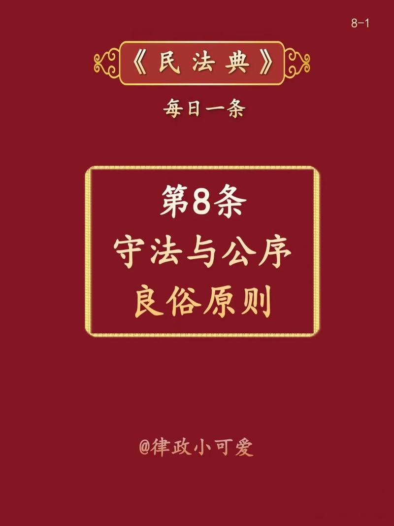 民法典第八条公序良俗原则条文书影特写