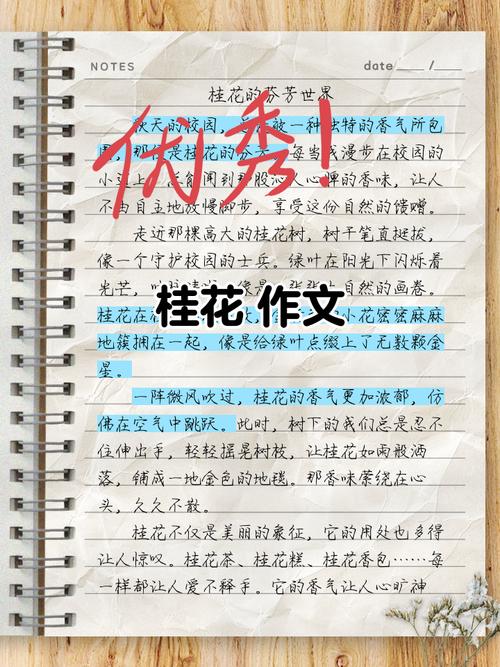 结语:桂花香的公共性实验