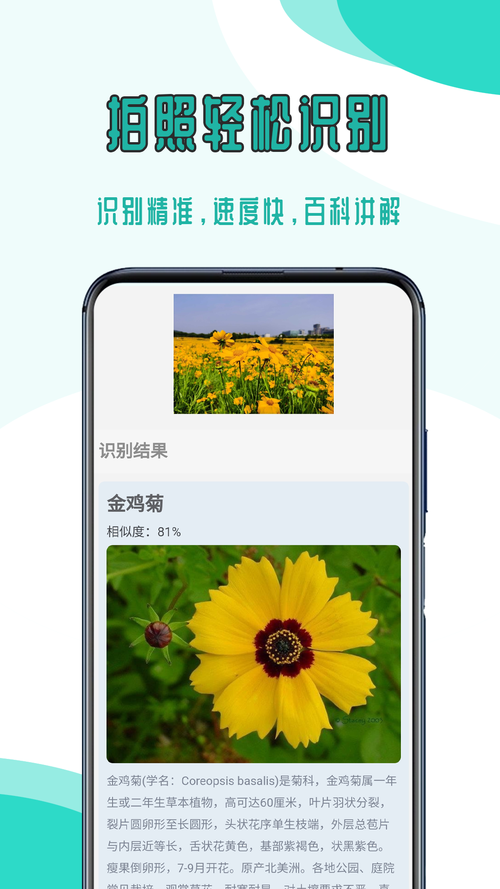 聊聊多模态内容检索：它怎么改变我们日常找内容的方式-天天任务