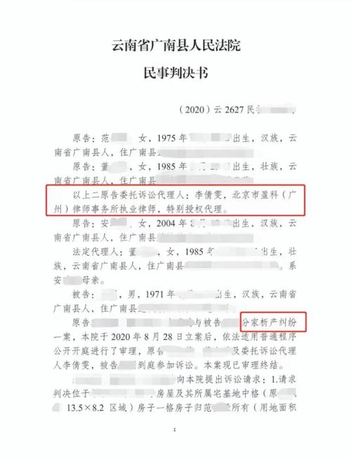分家析产纠纷终审判决书证据统计表格