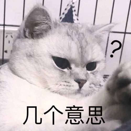 这东西到底在问什么