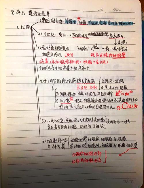 小学科学课本零散手写笔记