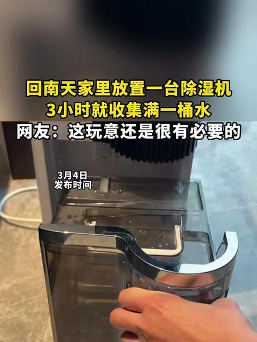 回南天室内除湿机抽出满满一箱水