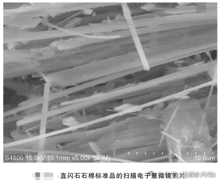 1050℃高温灼烧后断裂的石英纤维扫描电镜图