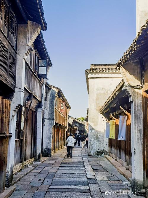 清晨浙江乌镇东栅石板路晨景