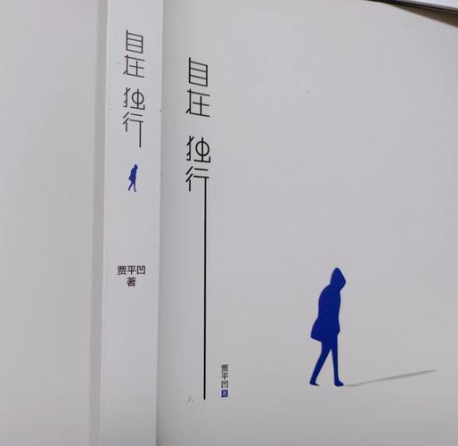 独行者的镜面哲学