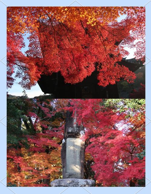 红叶狩:从隋唐到京都,再到你的朋友圈