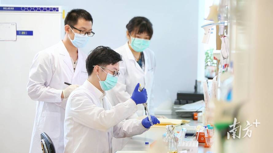 跨学科交叉研究：为什么顶级科研都爱玩跨界