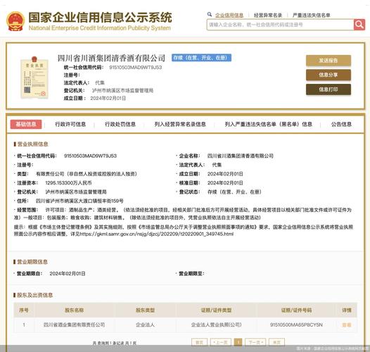 国家企业信用信息公示系统股东出资查询页面