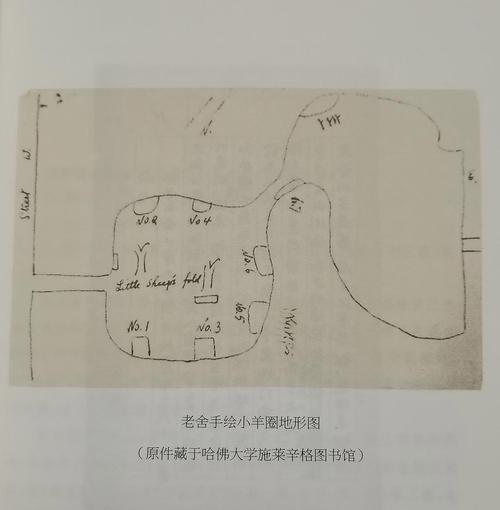小学生步行折返过程的距离-时间变化手绘示意图