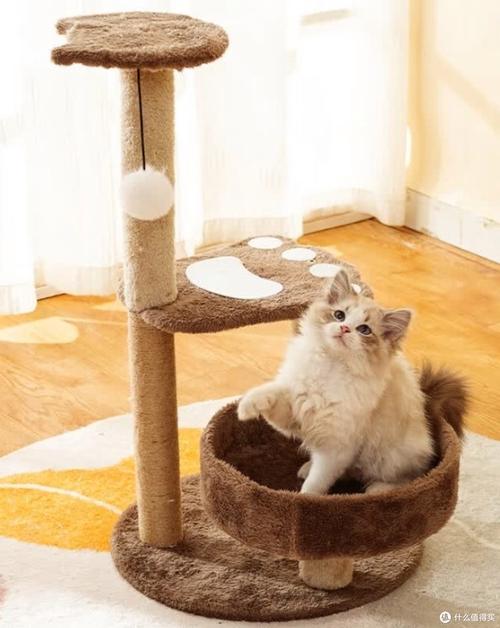猫咪蹲在高处猫爬架上好奇观察下方婴儿玩耍的室内家居场景