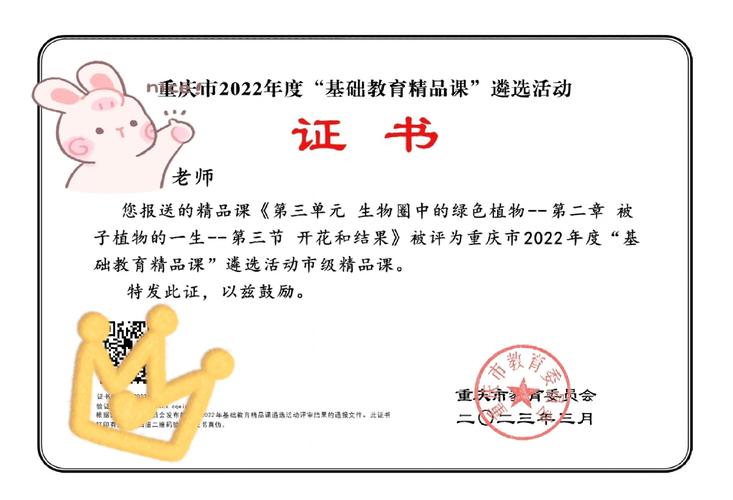 证书课程从来不是退路，是选项