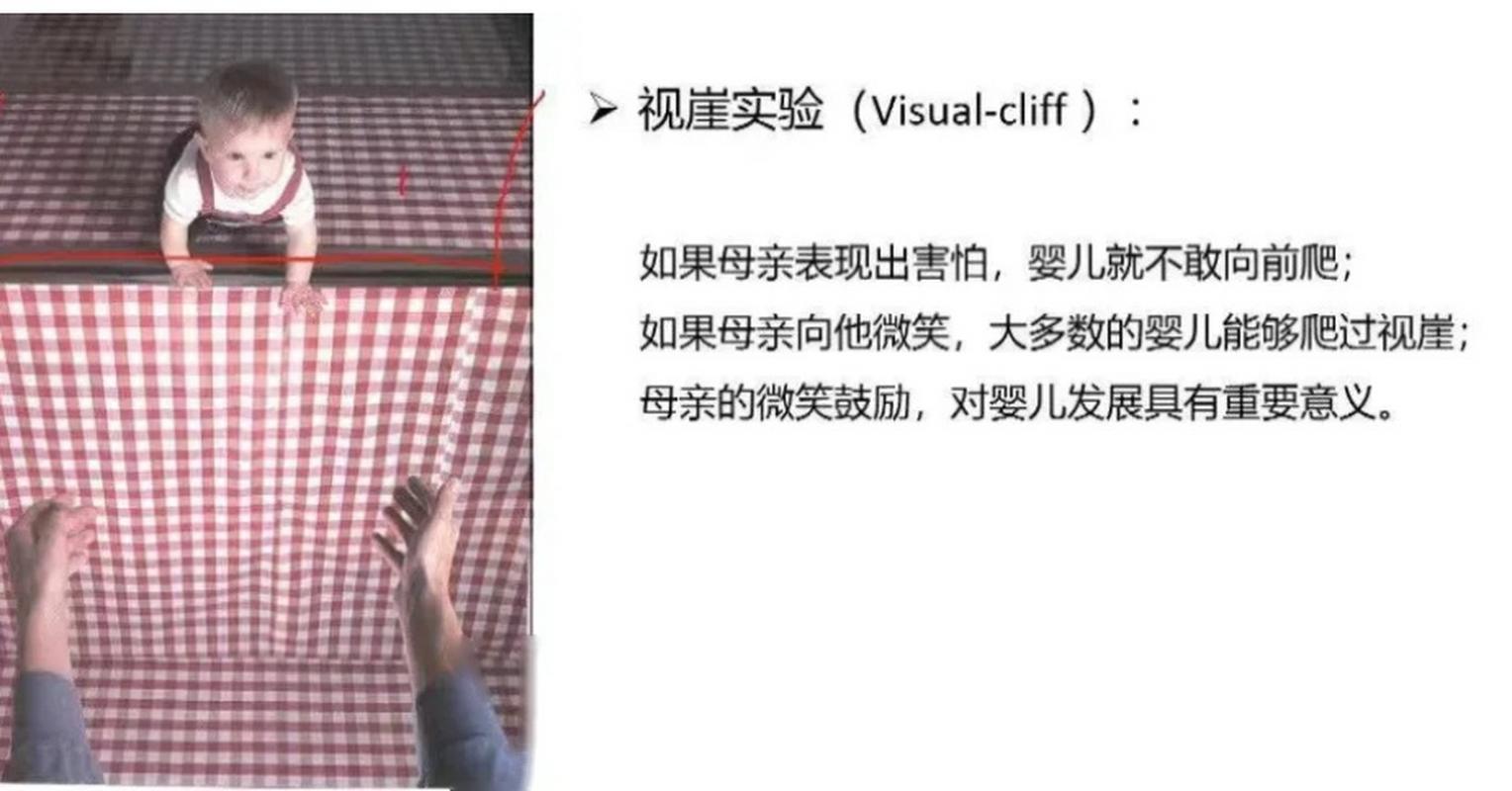 视崖实验婴儿与母亲信任测试