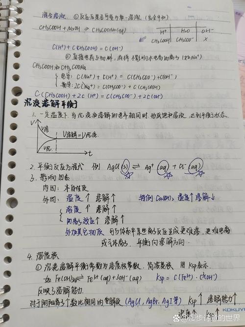 家长辅导孩子化学错题本上的沉淀溶解平衡笔记