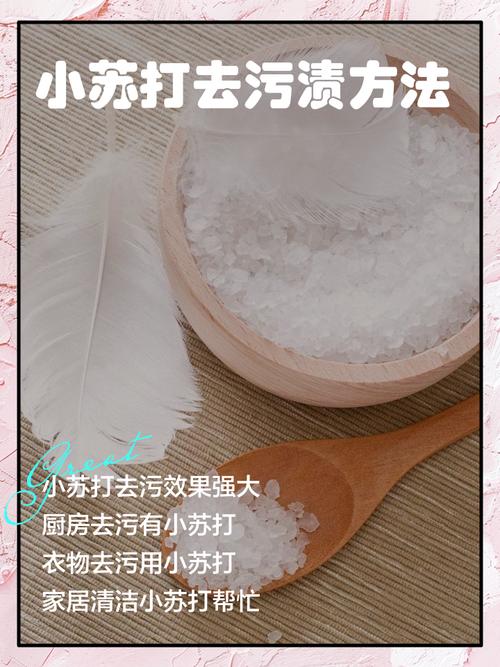 小苏打粉撒在地毯上去除异味的方法